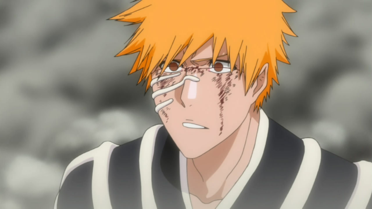 Bleach - 356 | Random Curiosity